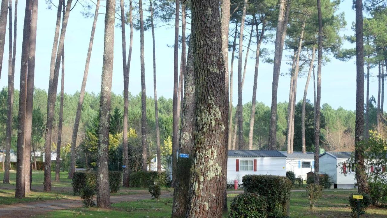 Mobil Home Rainbow, Camping Les Dunes De Contis Saint-Julien-en-Born Bilik gambar
